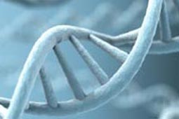 手机号呼叫轰炸app